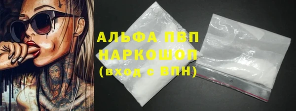 стафф Алексин