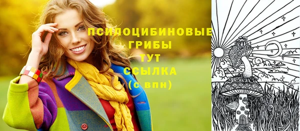 стафф Алексин
