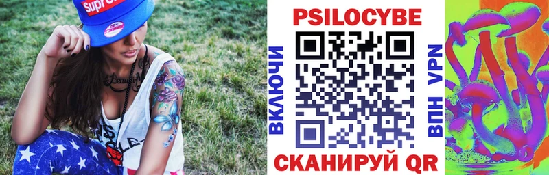 Галлюциногенные грибы MAGIC MUSHROOMS  где можно купить наркотик  Курлово 